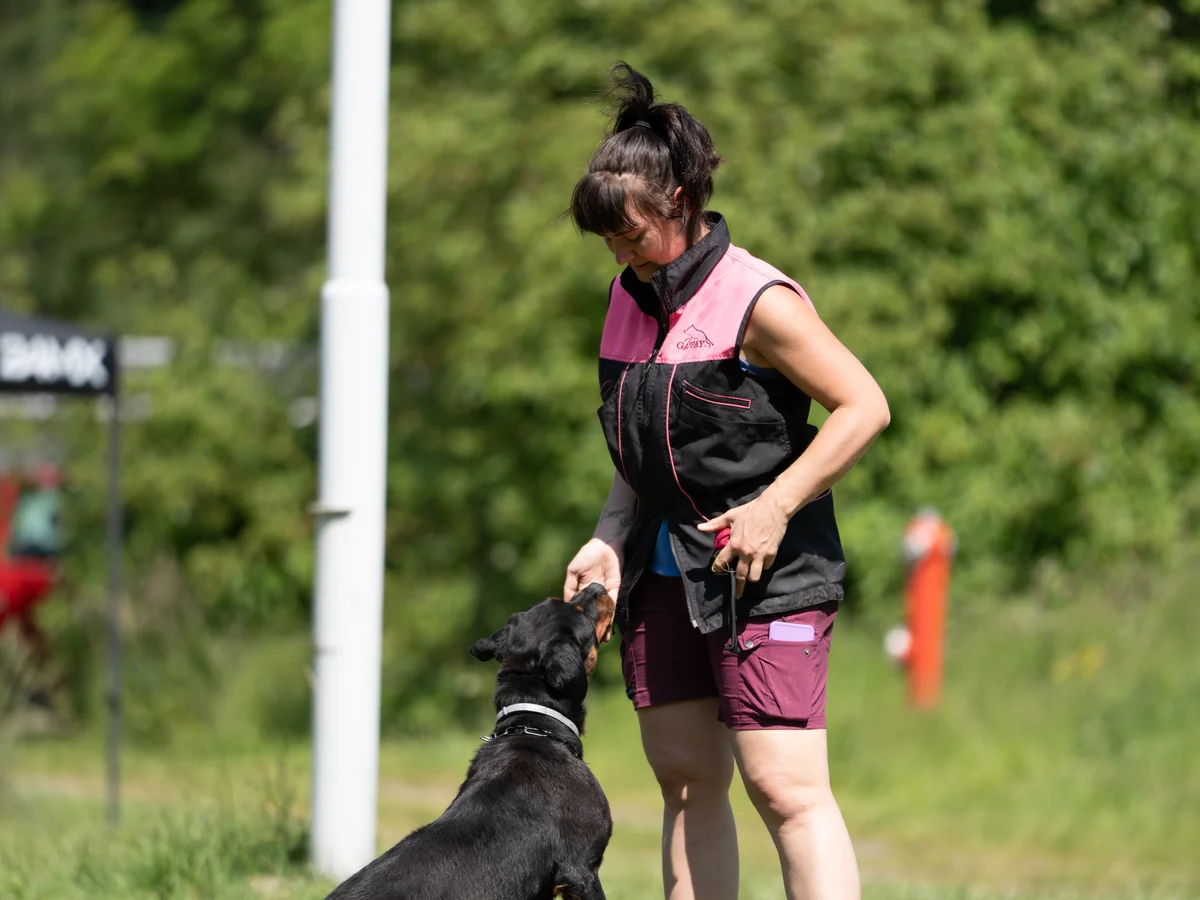 Basistraining – Hör auf damit, mach was mir gefällt