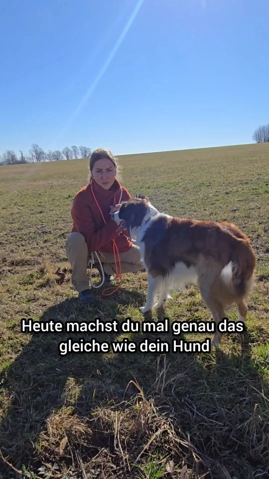 Einzelstunden