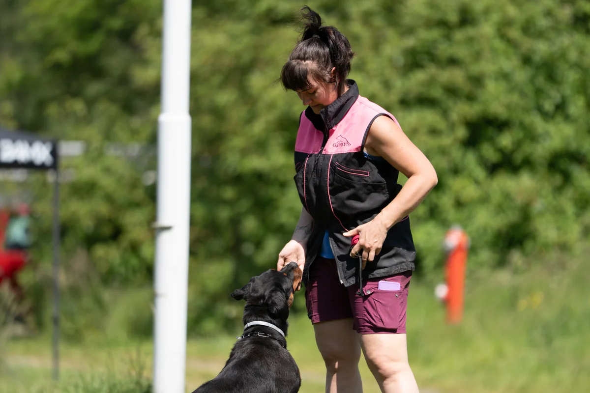 Training auf dem Hundeplatz